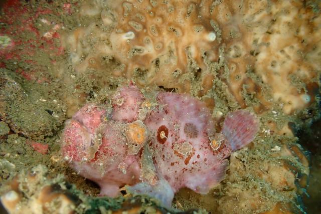 三浦も透視度抜群！