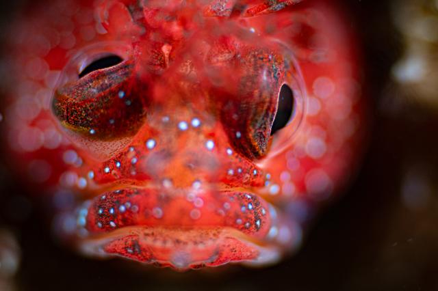 ハッピーバースデイ🤩