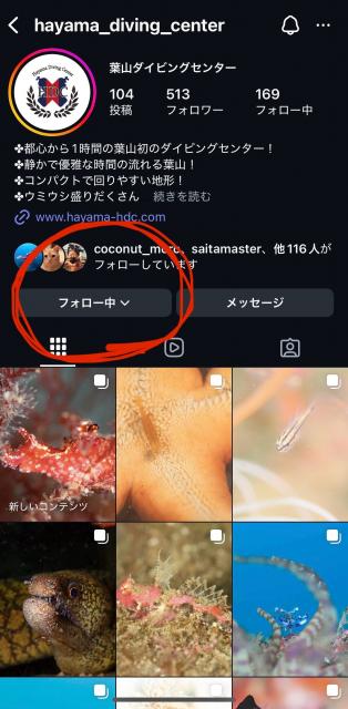 2026年葉山フォトコンテスト応募方法