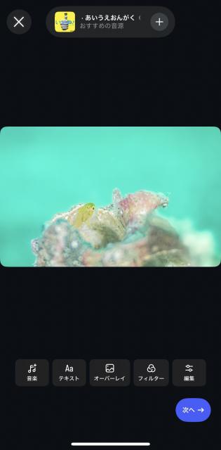 2026年葉山フォトコンテスト応募方法