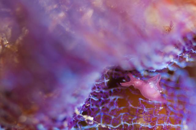 久しぶりに江の浦へ