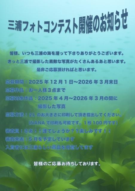 マンツーマンダイビング♪