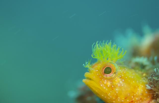 いやあ、気持ちの良い海でした
