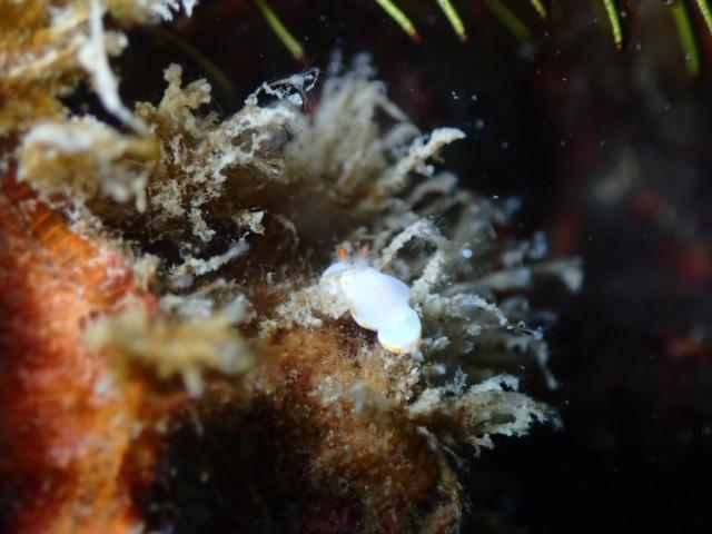 大荒れの後・・・