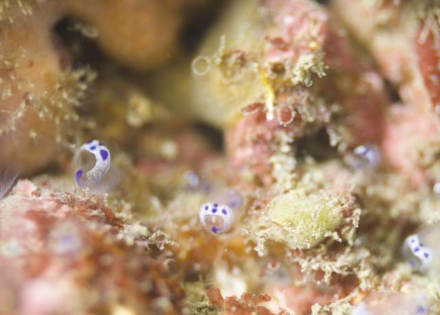 うねり残ってましたが無事潜れました