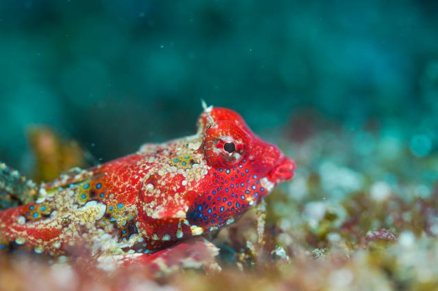 今期１の透視度！