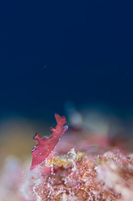 北風で静かな海⛱️