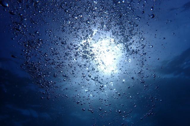 復帰！！ダイビング！！おかえりなさーい