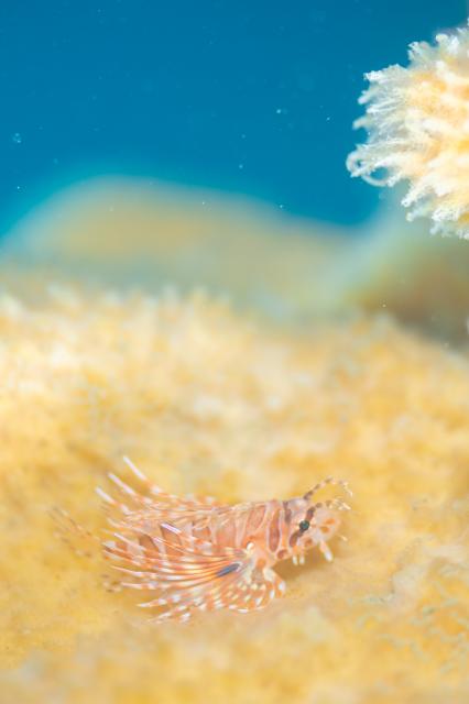 今年もありがとうございました！！