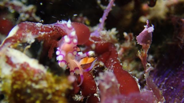講習ファンチーム江の浦へ！