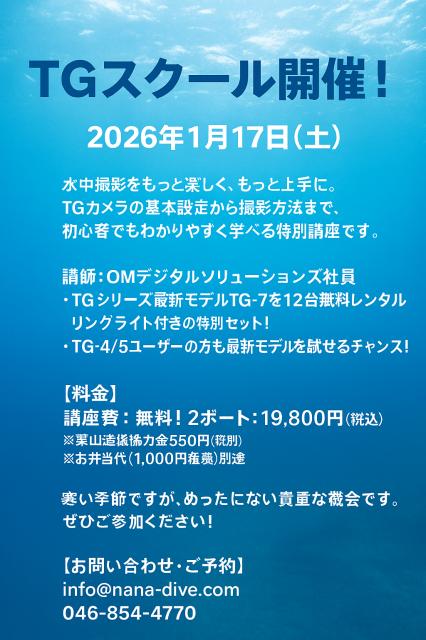 荒れた後でしたがウミウシたくさんいました
