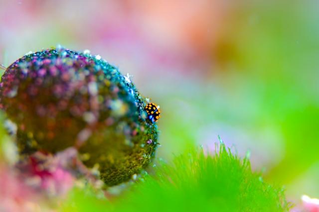 2025年最終週末終了！