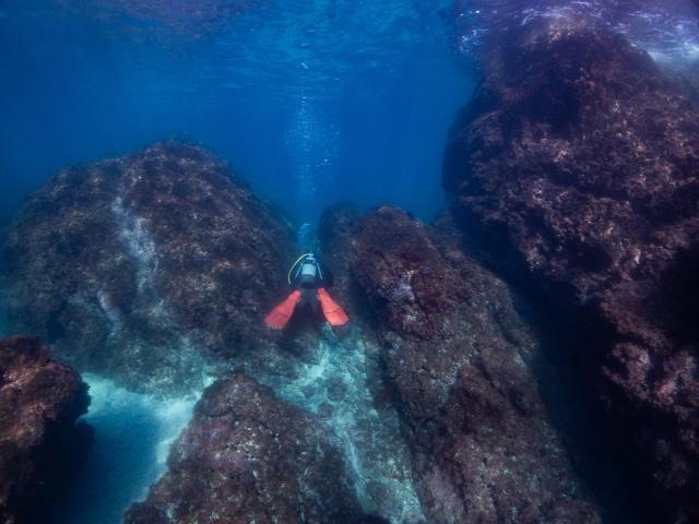 ビーチでのんびり２ダイブ！