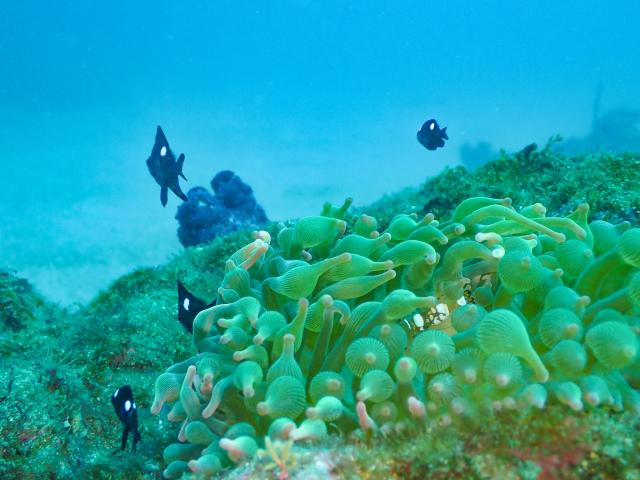 明けましておめでとうございます