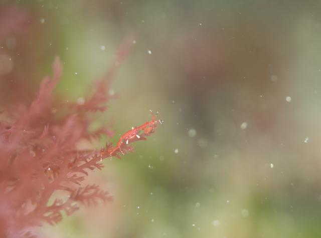 三浦行ってきましたー！