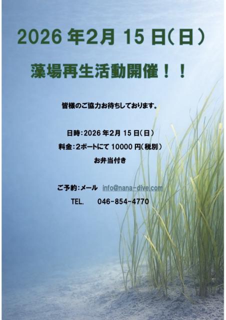 久しぶりの葉山エントリー