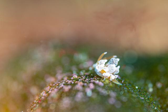 綺麗な海でした〜♪