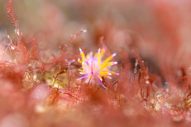 綺麗な海でした〜♪