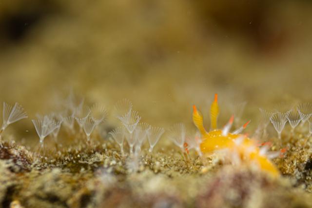 綺麗な海でした〜♪