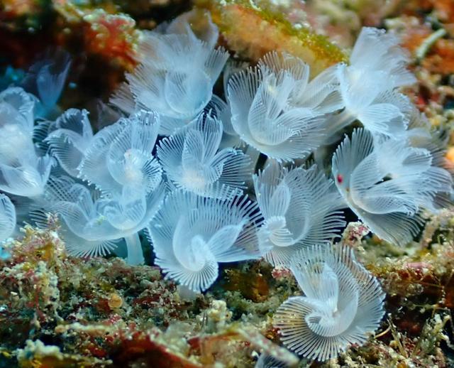 綺麗な海でした〜♪