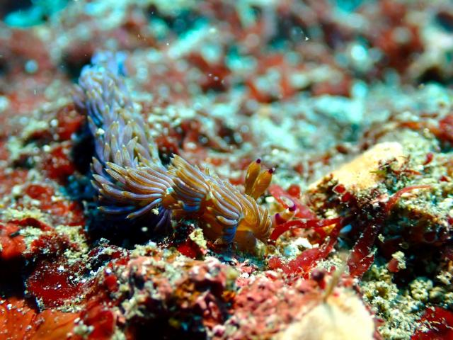 綺麗な海でした〜♪