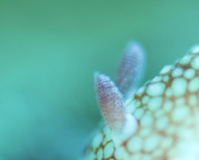 寒かったけどダイビング日和でした