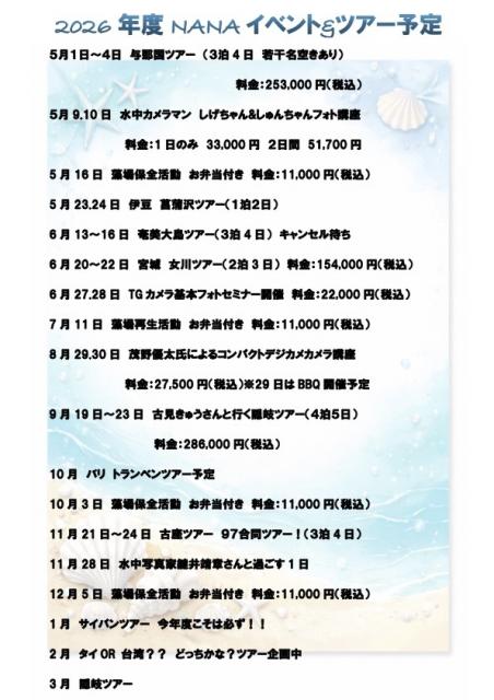 寒かったけどダイビング日和でした