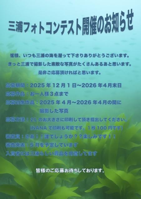 寒かったけどダイビング日和でした