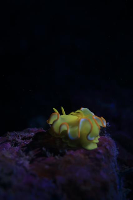 寒かったけどダイビング日和でした