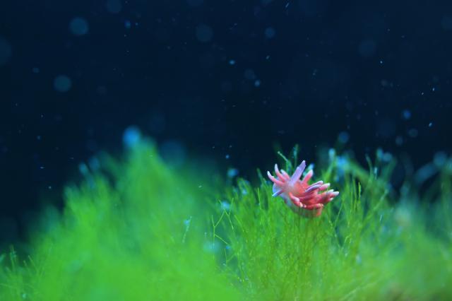 寒かったけどダイビング日和でした