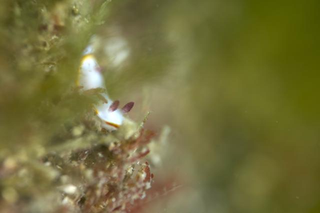 寒かったけどダイビング日和でした