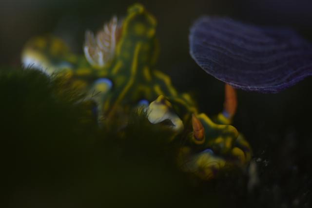 大ちゃんダイビング2日目‼️