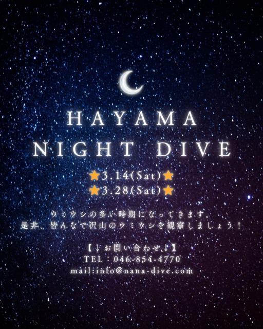 大ちゃんダイビング2日目‼️