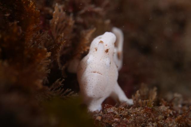 葉山オープン♪