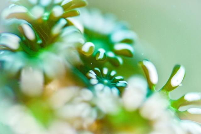 葉山オープン♪