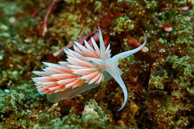 平日にゆっくり遊んできました〜