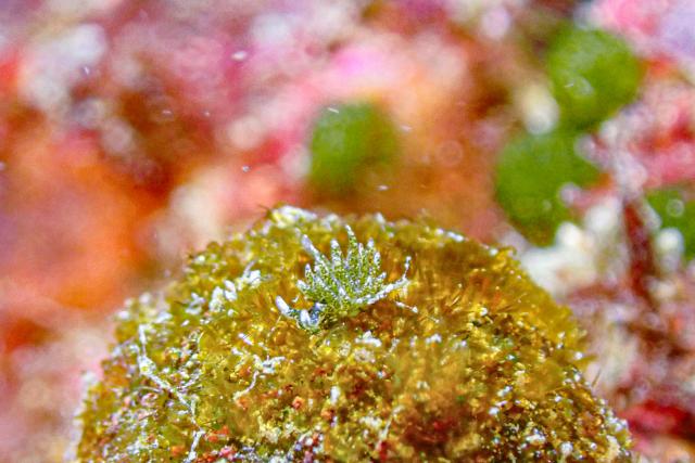 平日にゆっくり遊んできました〜