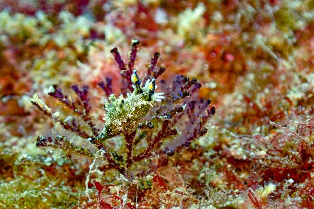 平日にゆっくり遊んできました〜