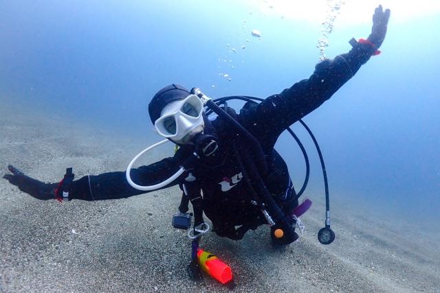 平日まったりダイビング