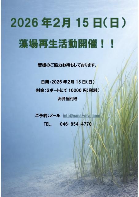 ウミウシのんびり休日ダイブ