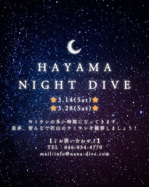 ウミウシのんびり休日ダイブ