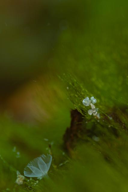 コンディション整ってます