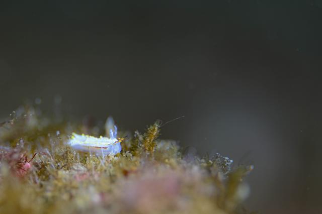 コンディション整ってます