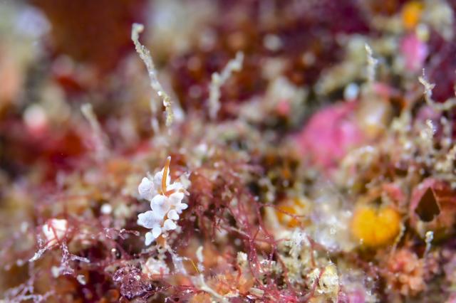 コンディション整ってます