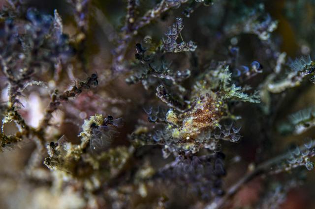 コンディション整ってます