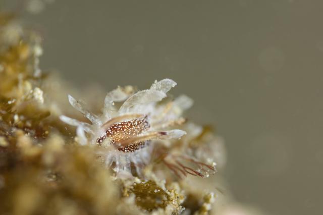 コンディション整ってます