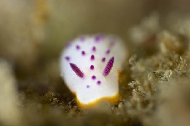 コンディション整ってます