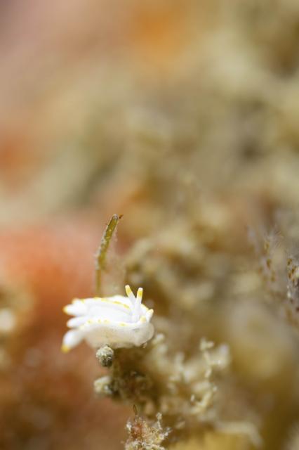 コンディション整ってます