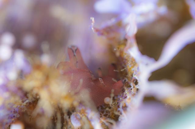 コンディション整ってます