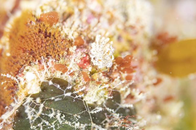 コンディション整ってます